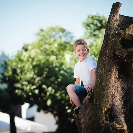 Alte Kass & Kaffeehaus Neidlingen